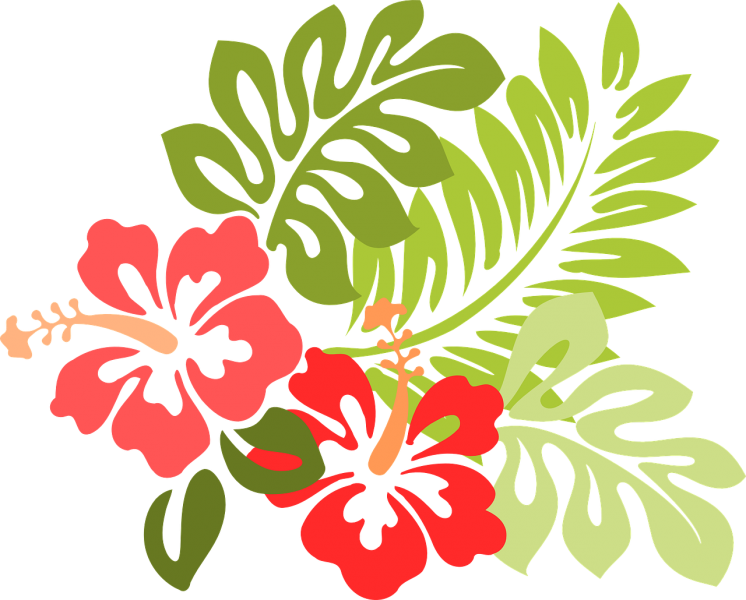 hawaii-309006_1280