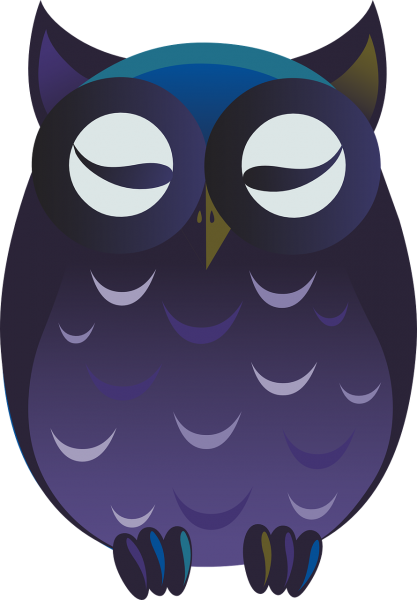 owl-576542_1280